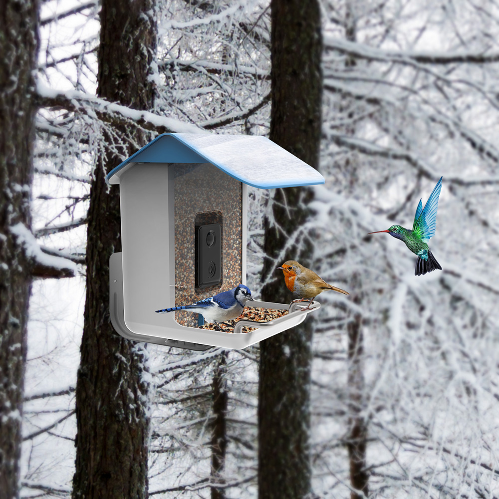 STLFNew Trend Smart Bird Feede - Solar Panel ulasan dan harga